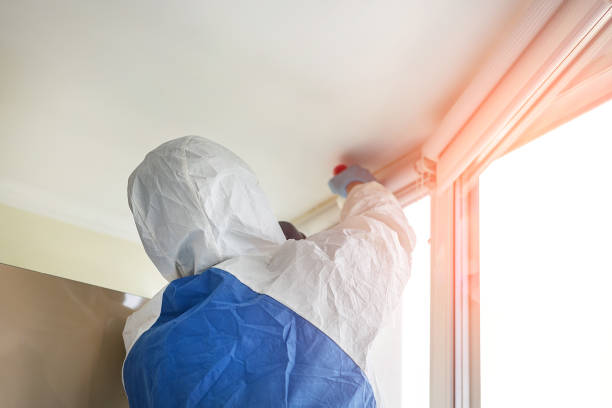 Best Biohazard Mold Removal  in Steger, IL