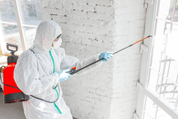 Best Comprehensive Air Testing for Mold Contaminants  in Steger, IL